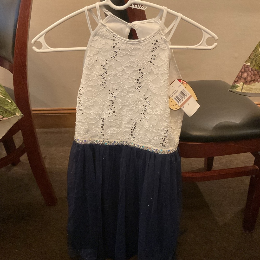 Ivory & Navy dress